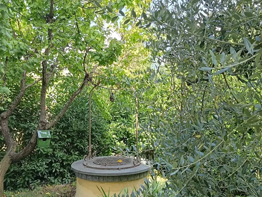 Immagine 11 di Appartamento in vendita  a Fucecchio