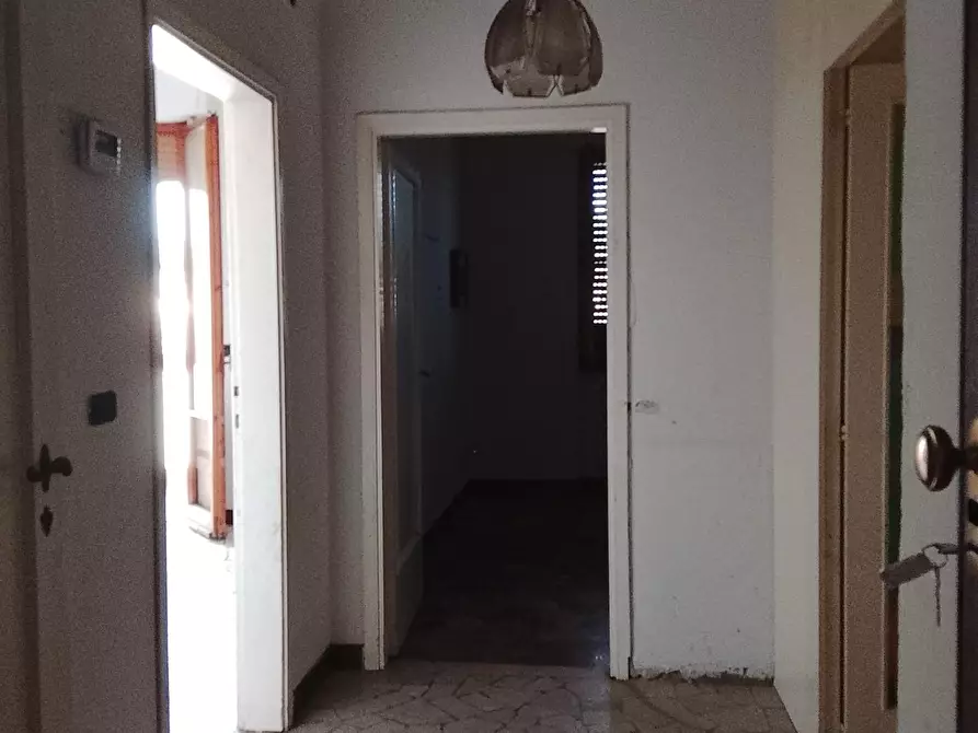 Immagine 6 di Appartamento in vendita  a Poggio A Caiano