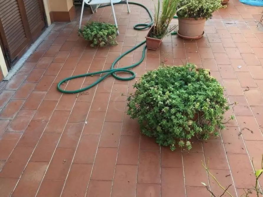 Immagine 10 di Appartamento in affitto  a San Miniato