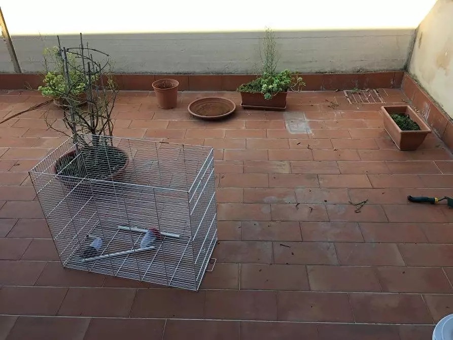 Immagine 11 di Appartamento in affitto  a San Miniato