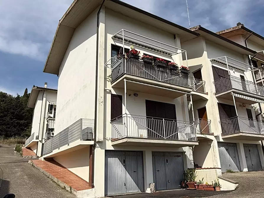 Immagine 24 di Appartamento in vendita  a Rosignano Marittimo