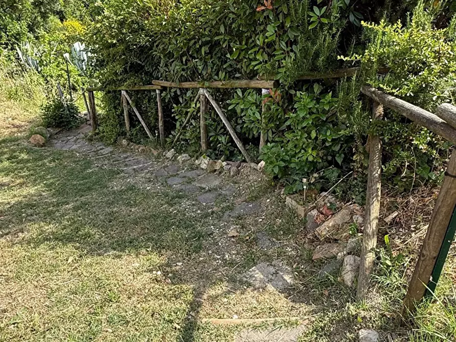 Immagine 30 di Appartamento in vendita  a Rosignano Marittimo