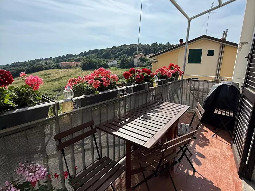 Immagine 3 di Appartamento in vendita  a Rosignano Marittimo
