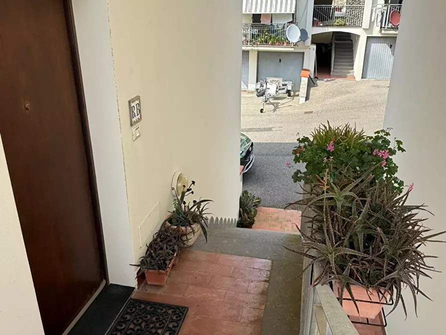 Immagine 2 di Appartamento in vendita  a Rosignano Marittimo
