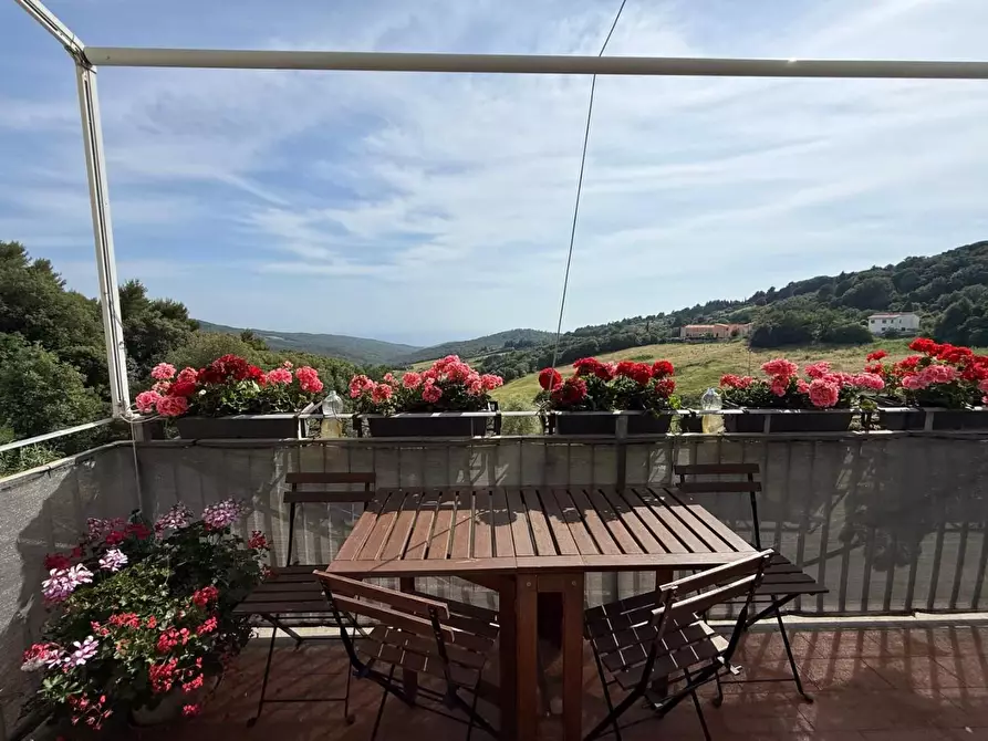 Immagine 1 di Appartamento in vendita  a Rosignano Marittimo