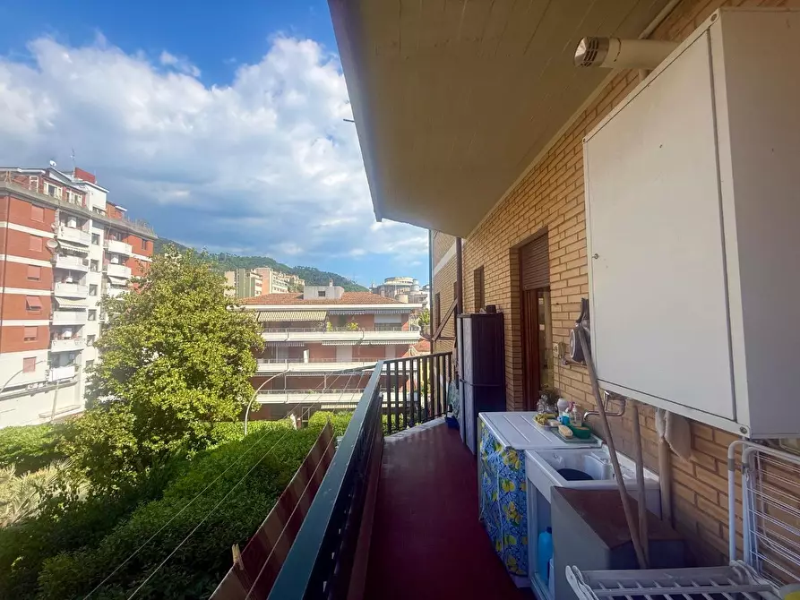 Immagine 11 di Appartamento in vendita  a Massa