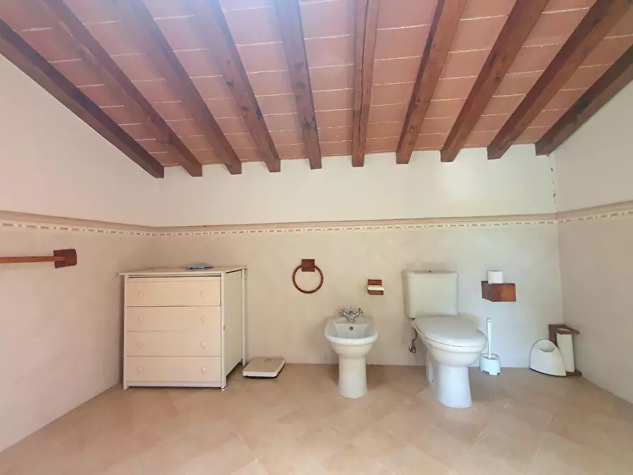 Immagine 29 di Casa semindipendente in vendita  a Capannori