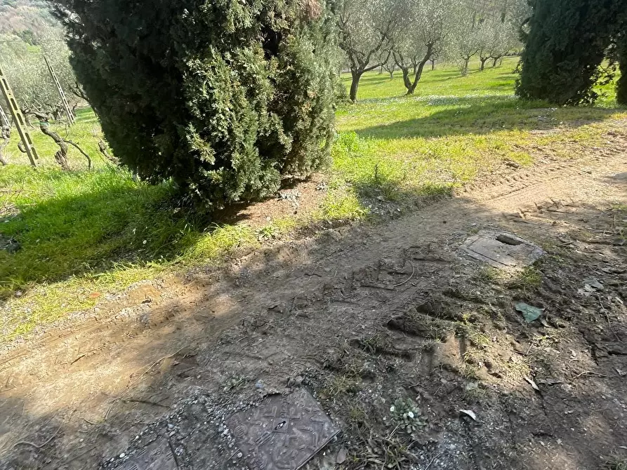 Immagine 32 di Casa semindipendente in vendita  a Capannori