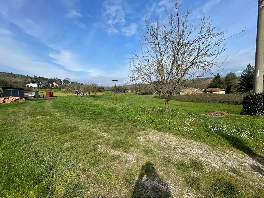 Immagine 50 di Casa semindipendente in vendita  a Capannori