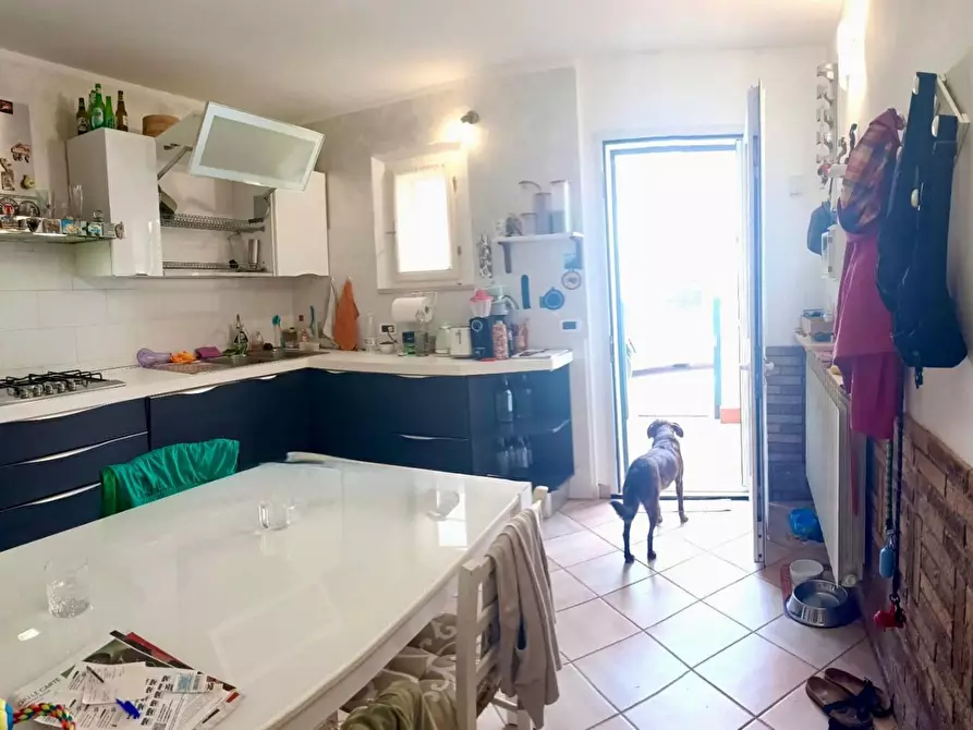 Immagine 5 di Terratetto in vendita  a Cascina