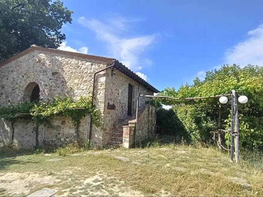 Immagine 21 di Casa colonica in vendita  a Casole D'elsa