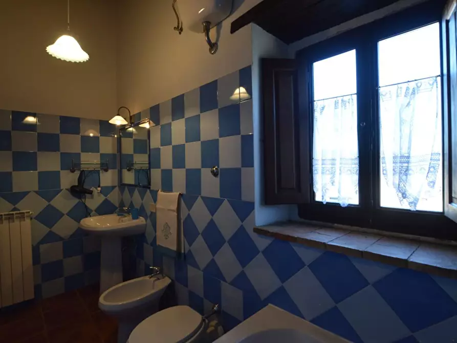 Immagine 18 di Casa colonica in vendita  a Casole D'elsa