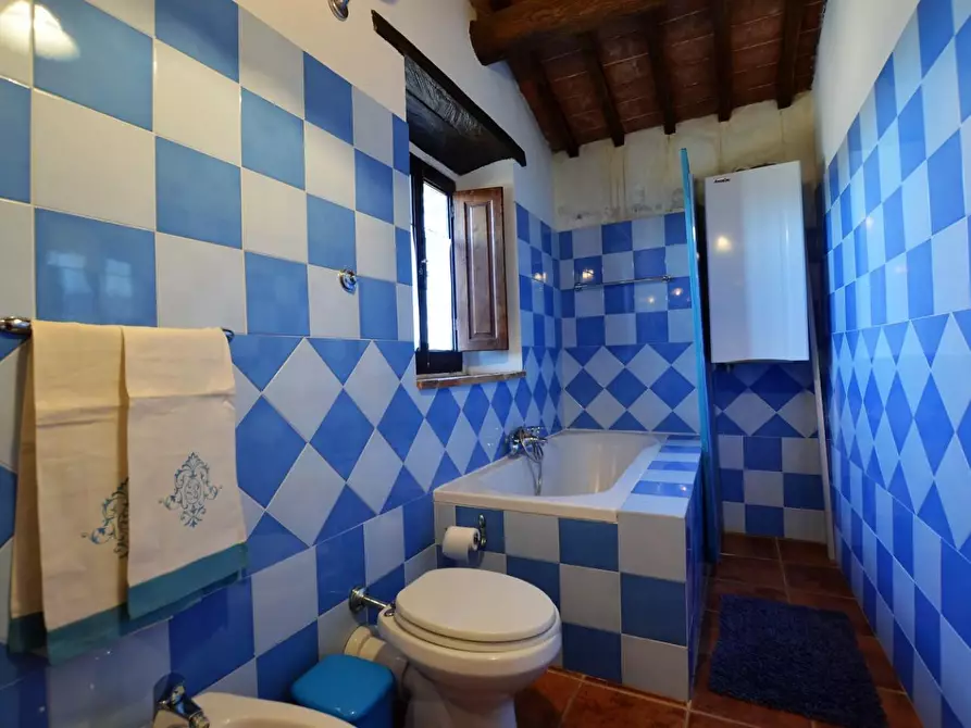 Immagine 17 di Casa colonica in vendita  a Casole D'elsa