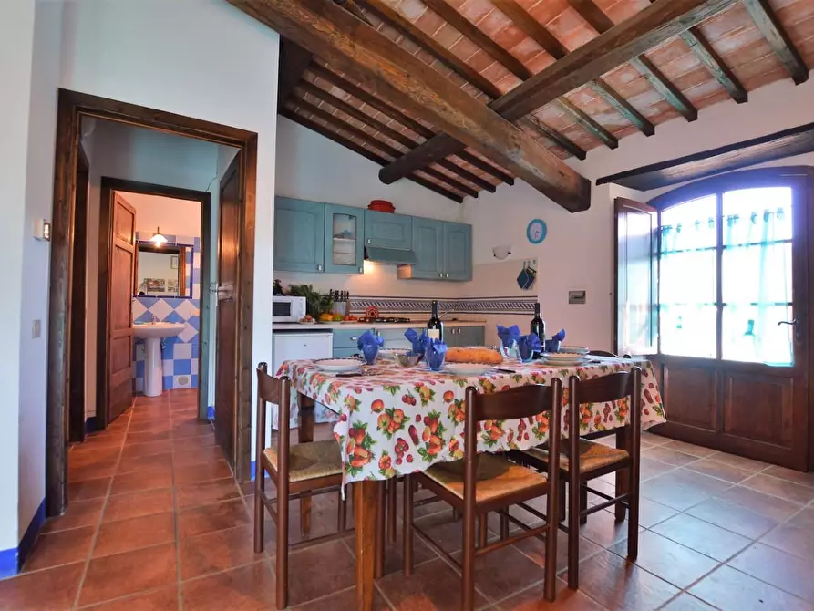 Immagine 7 di Casa colonica in vendita  a Casole D'elsa