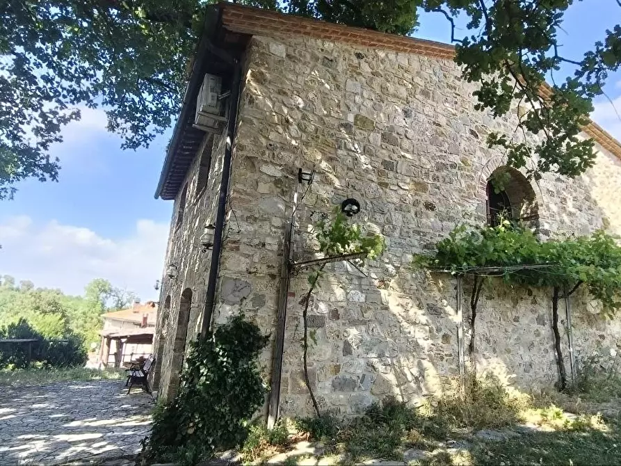 Immagine 23 di Casa colonica in vendita  a Casole D'elsa