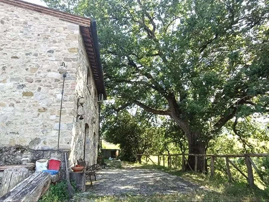 Immagine 6 di Casa colonica in vendita  a Casole D'elsa
