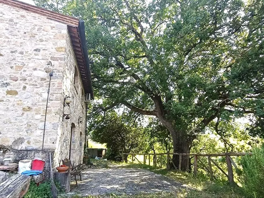 Immagine 4 di Casa colonica in vendita  a Casole D'elsa