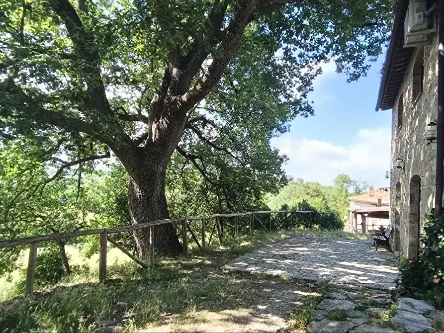 Immagine 22 di Casa colonica in vendita  a Casole D'elsa