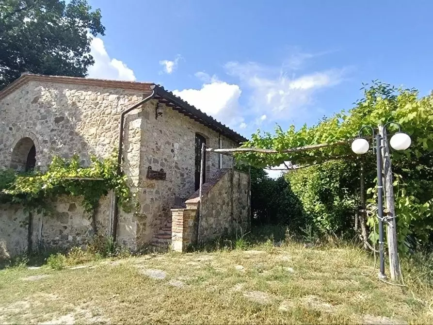 Immagine 26 di Casa colonica in vendita  a Casole D'elsa