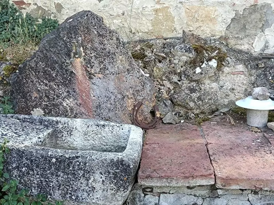 Immagine 20 di Casa colonica in vendita  a Casole D'elsa