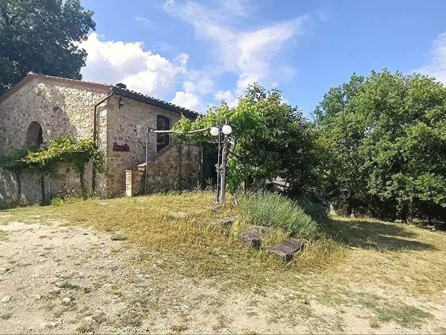 Immagine 3 di Casa colonica in vendita  a Casole D'elsa