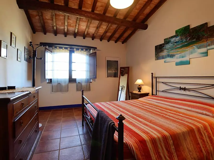 Immagine 15 di Casa colonica in vendita  a Casole D'elsa