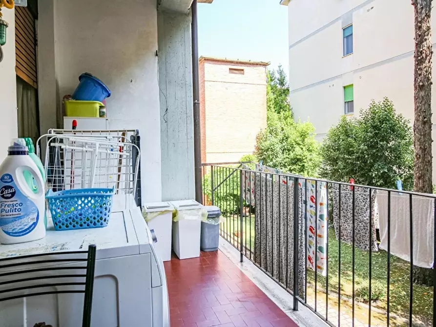 Immagine 7 di Appartamento in affitto  a Pisa