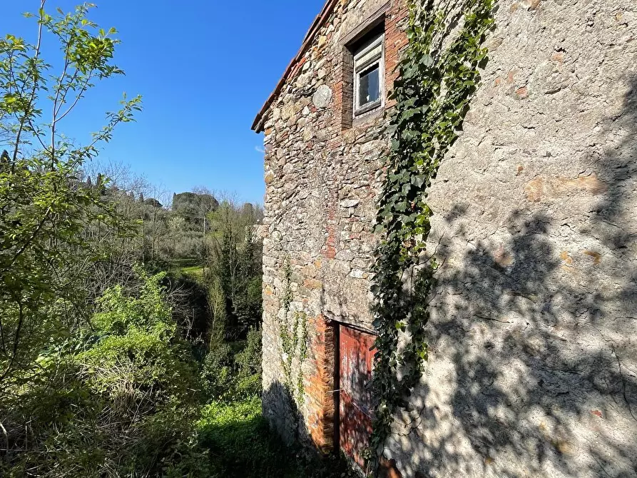 Immagine 55 di Terratetto in vendita  a Capannori