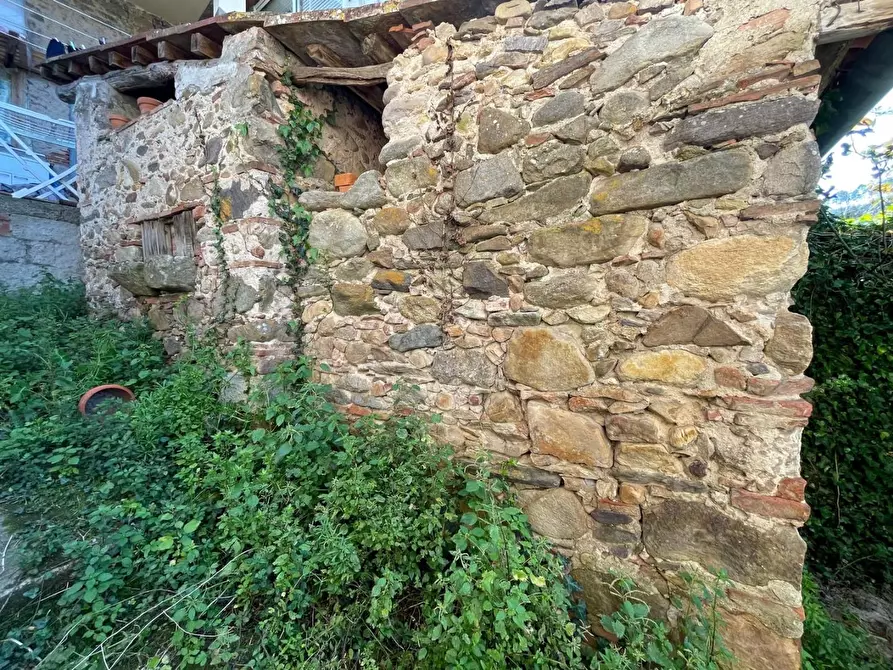 Immagine 56 di Terratetto in vendita  a Capannori