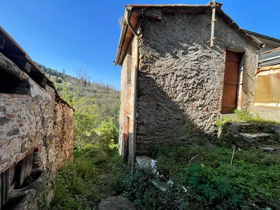Immagine 61 di Terratetto in vendita  a Capannori