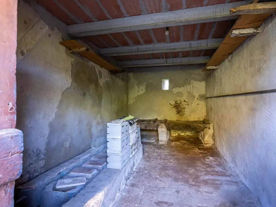 Immagine 13 di Porzione di casa in vendita  a Bientina