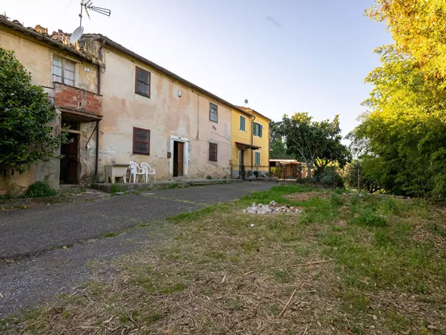 Immagine 3 di Porzione di casa in vendita  a Bientina