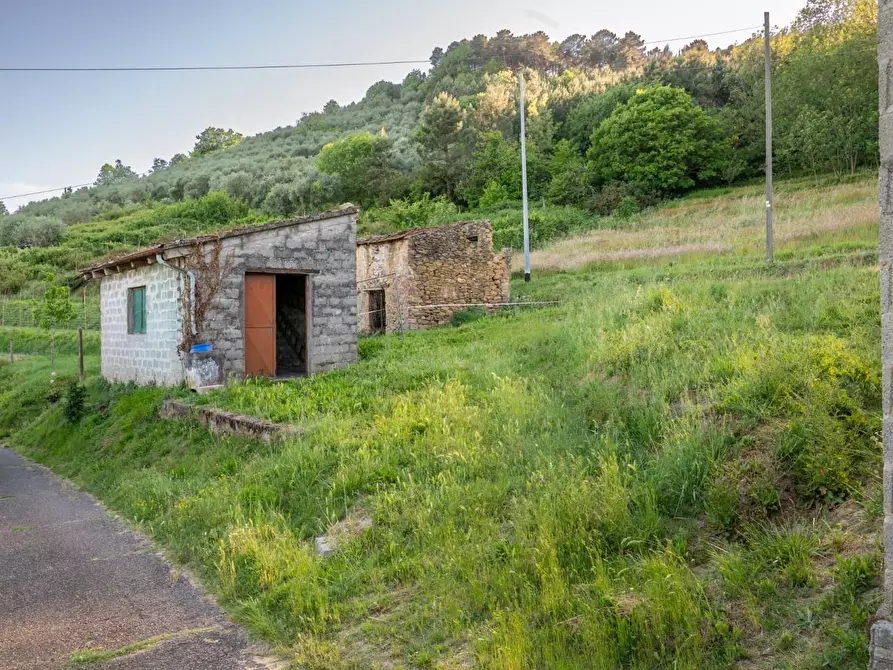 Immagine 4 di Porzione di casa in vendita  a Bientina