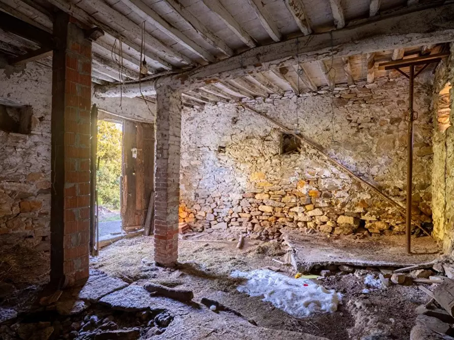 Immagine 10 di Porzione di casa in vendita  a Bientina