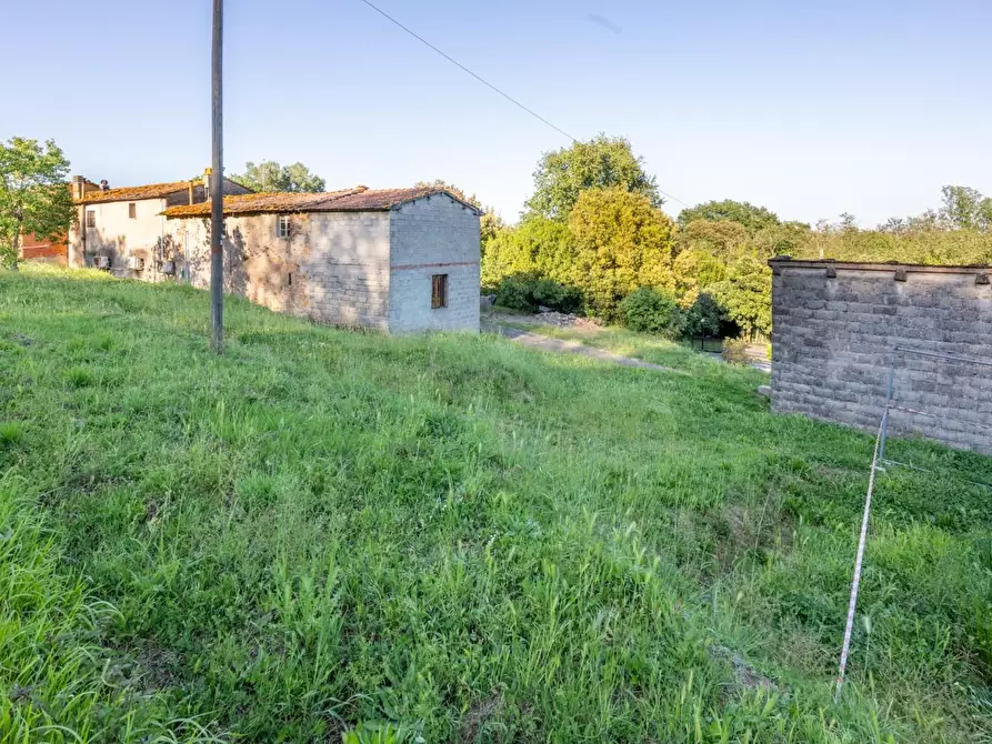 Immagine 6 di Porzione di casa in vendita  a Bientina