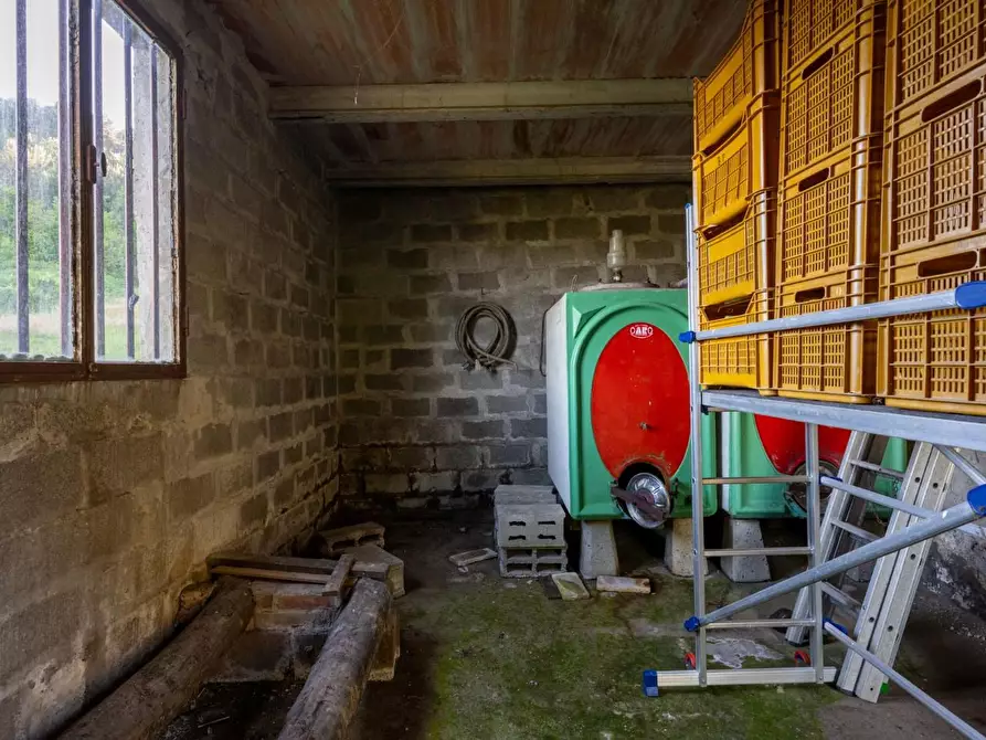 Immagine 12 di Porzione di casa in vendita  a Bientina