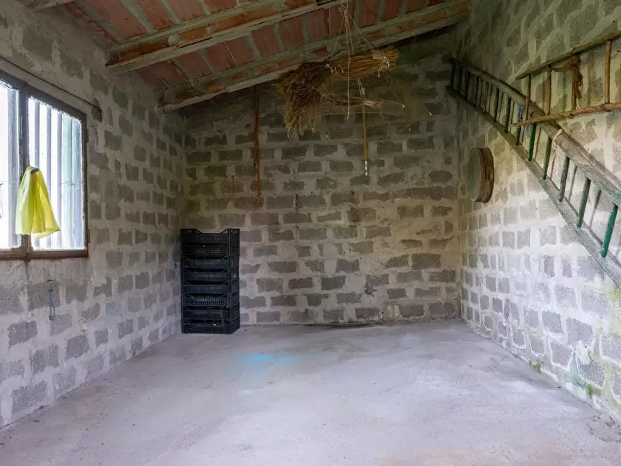 Immagine 11 di Porzione di casa in vendita  a Bientina