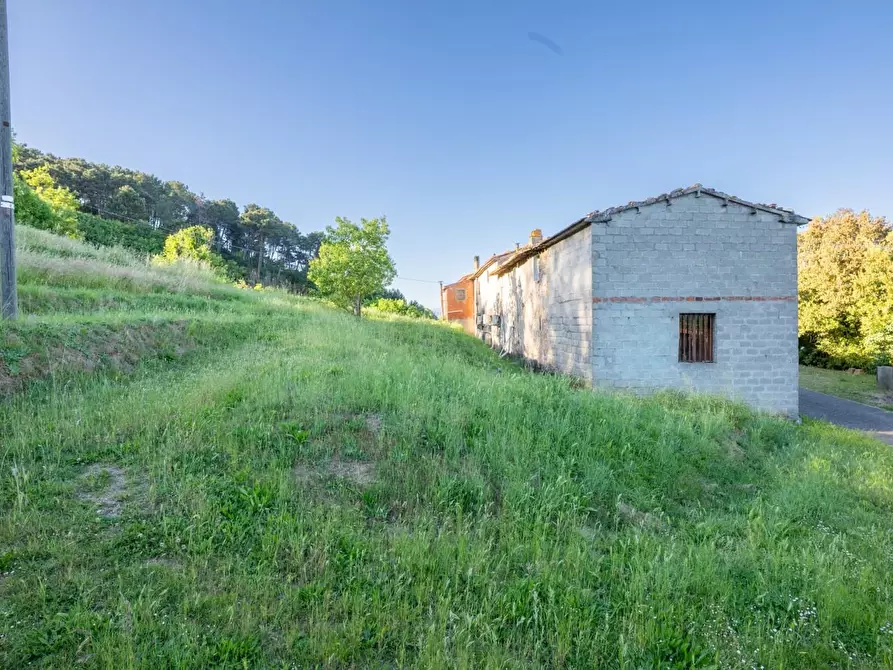 Immagine 5 di Porzione di casa in vendita  a Bientina
