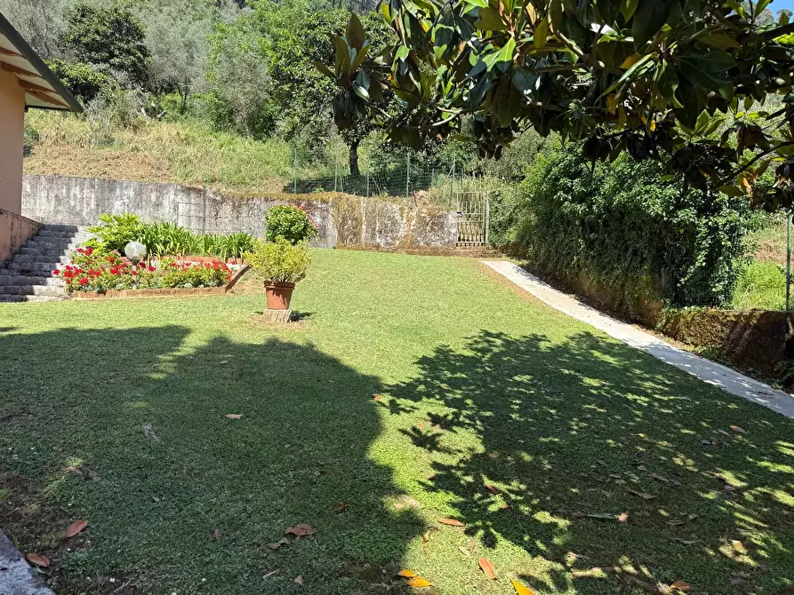 Immagine 3 di Villa in vendita  a Massa