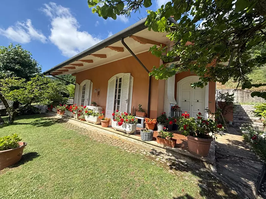 Immagine 8 di Villa in vendita  a Massa