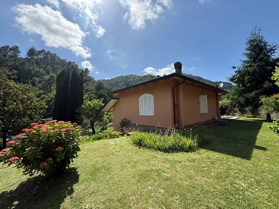 Immagine 11 di Villa in vendita  a Massa