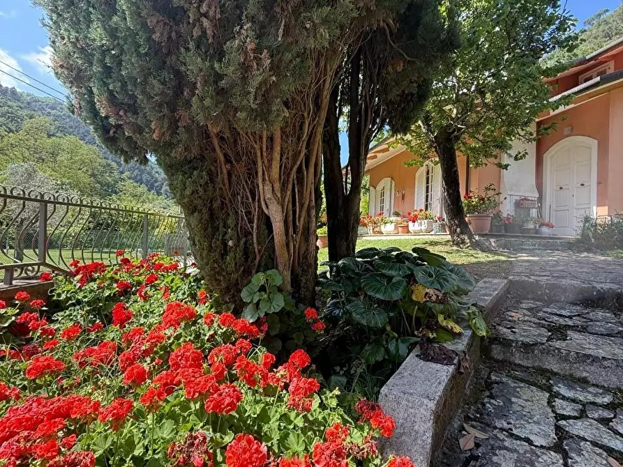 Immagine 6 di Villa in vendita  a Massa