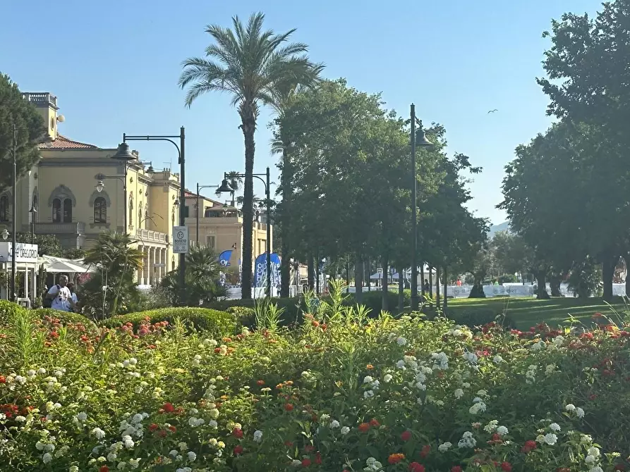 Immagine 2 di Locale commerciale in vendita  a Olbia