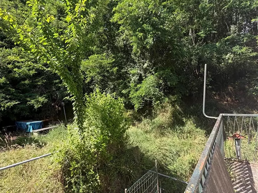 Immagine 19 di Casa indipendente in vendita  a Licciana Nardi