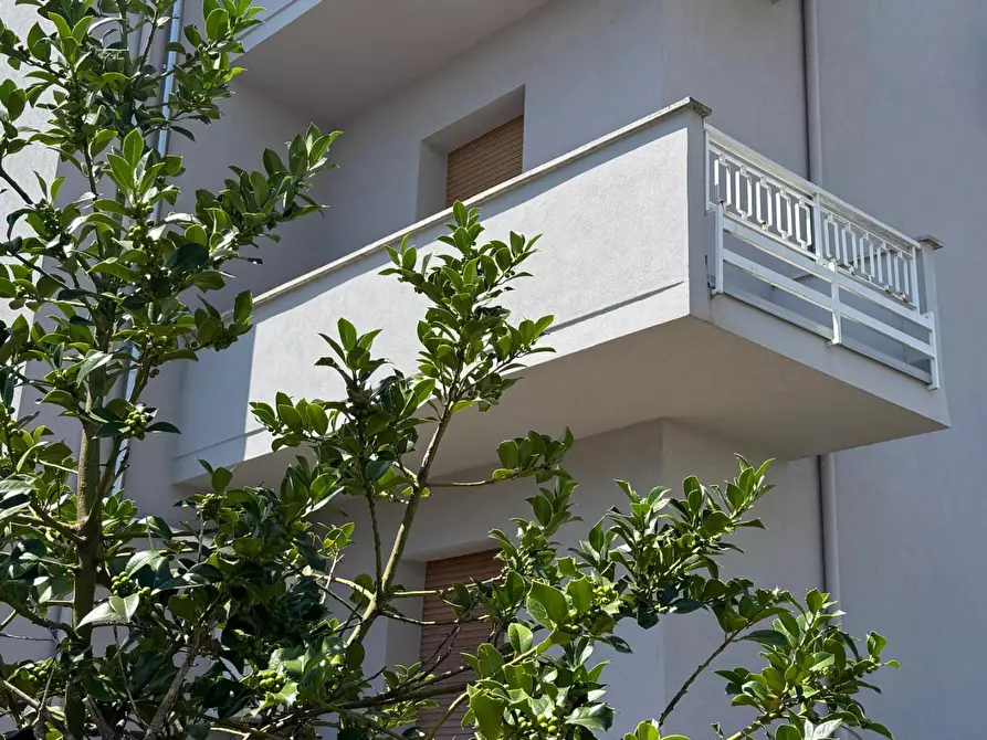 Immagine 1 di Appartamento in vendita  a Empoli