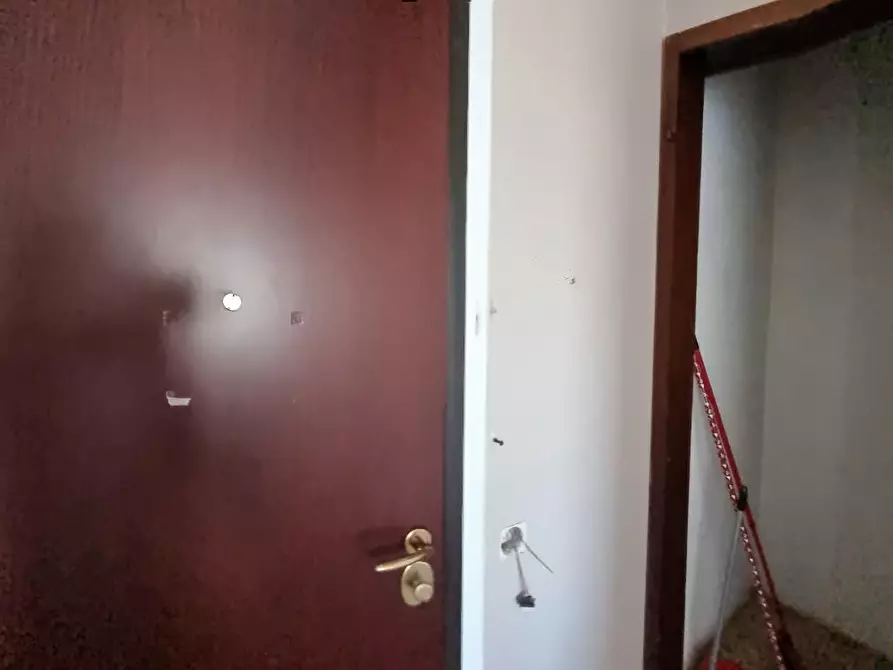 Immagine 4 di Appartamento in vendita  a Livorno
