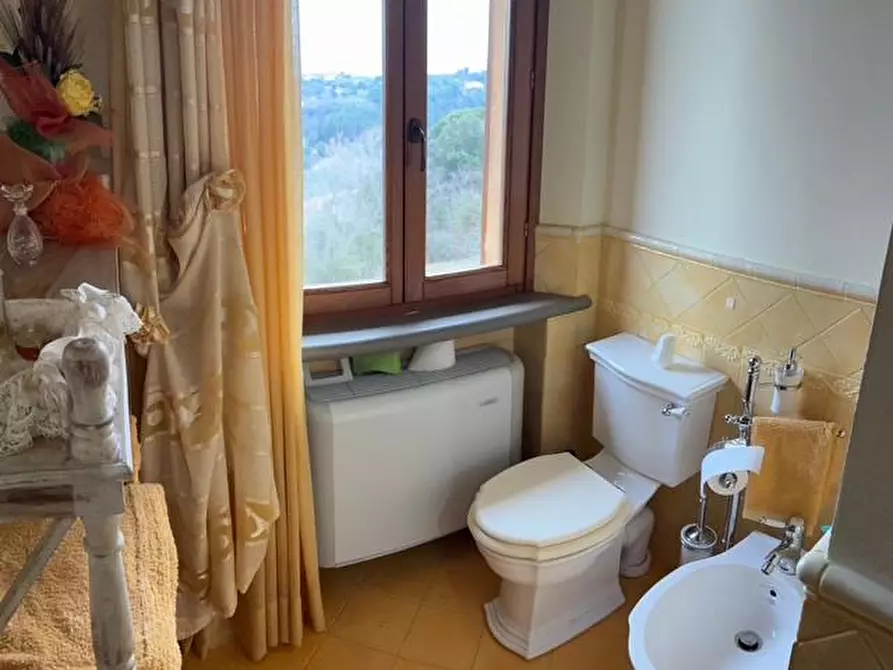 Immagine 28 di Casa colonica in vendita  a Palaia