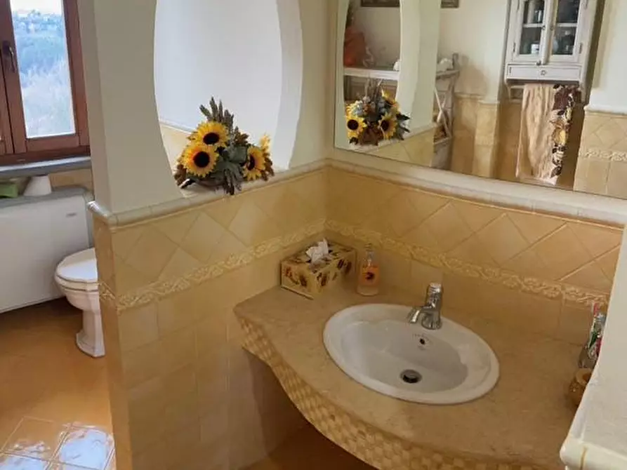 Immagine 22 di Casa colonica in vendita  a Palaia