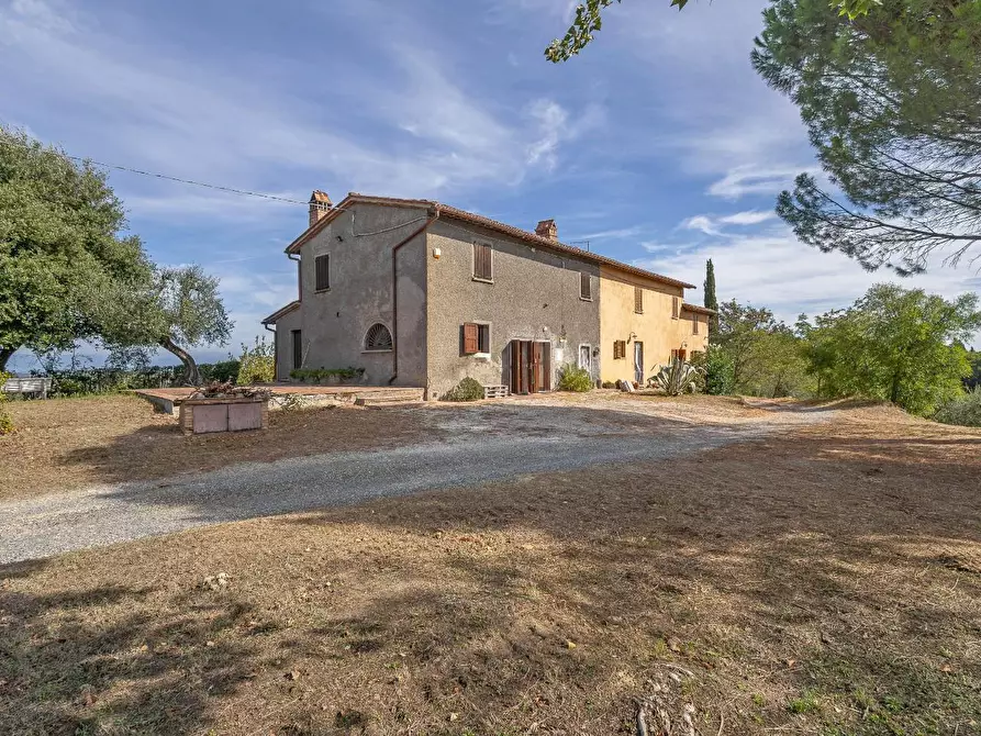 Immagine 1 di Casa colonica in vendita  a Palaia