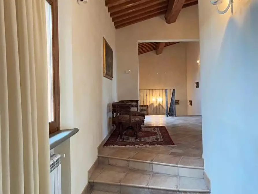 Immagine 14 di Casa colonica in vendita  a Palaia